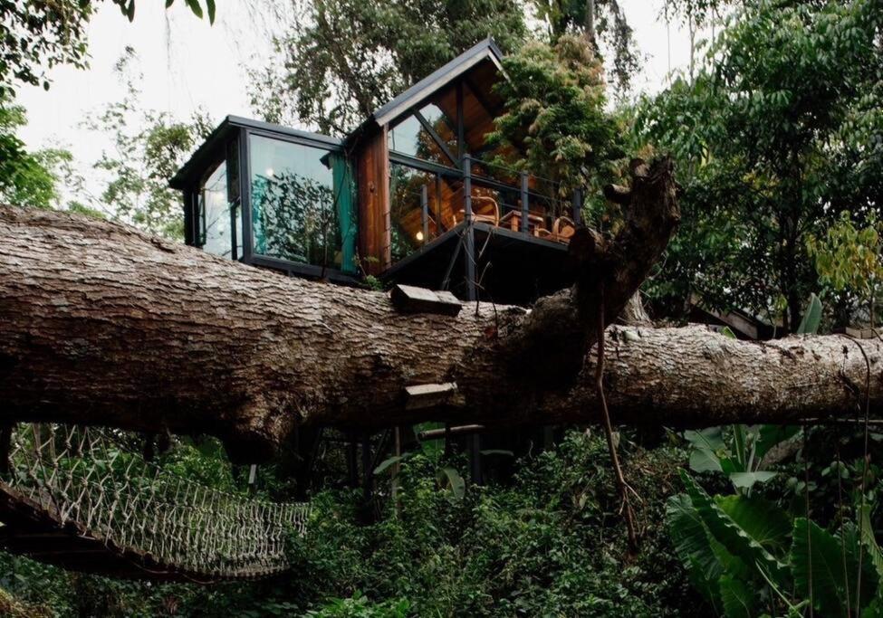 Wilderness Treehouse Doi Saket Exterior foto