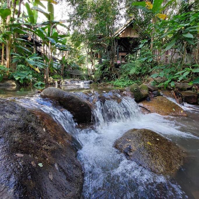Wilderness Treehouse Doi Saket Exterior foto